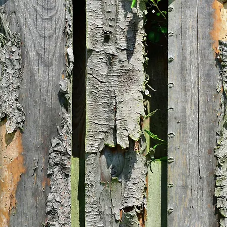Ferienhaus In Mit Terrasse Stormbruch